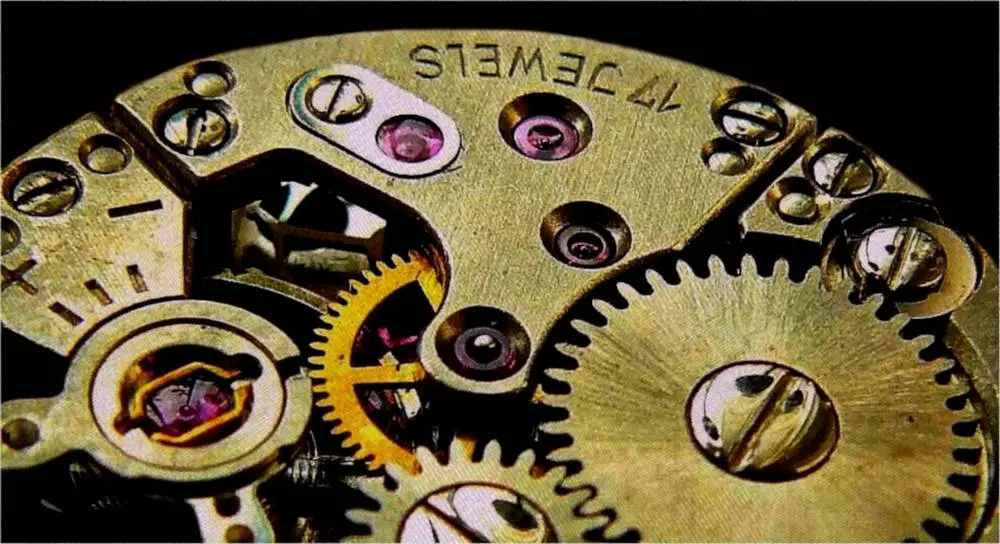 Chronotyp 1 - Die Ausbildung rund um Chronotypen