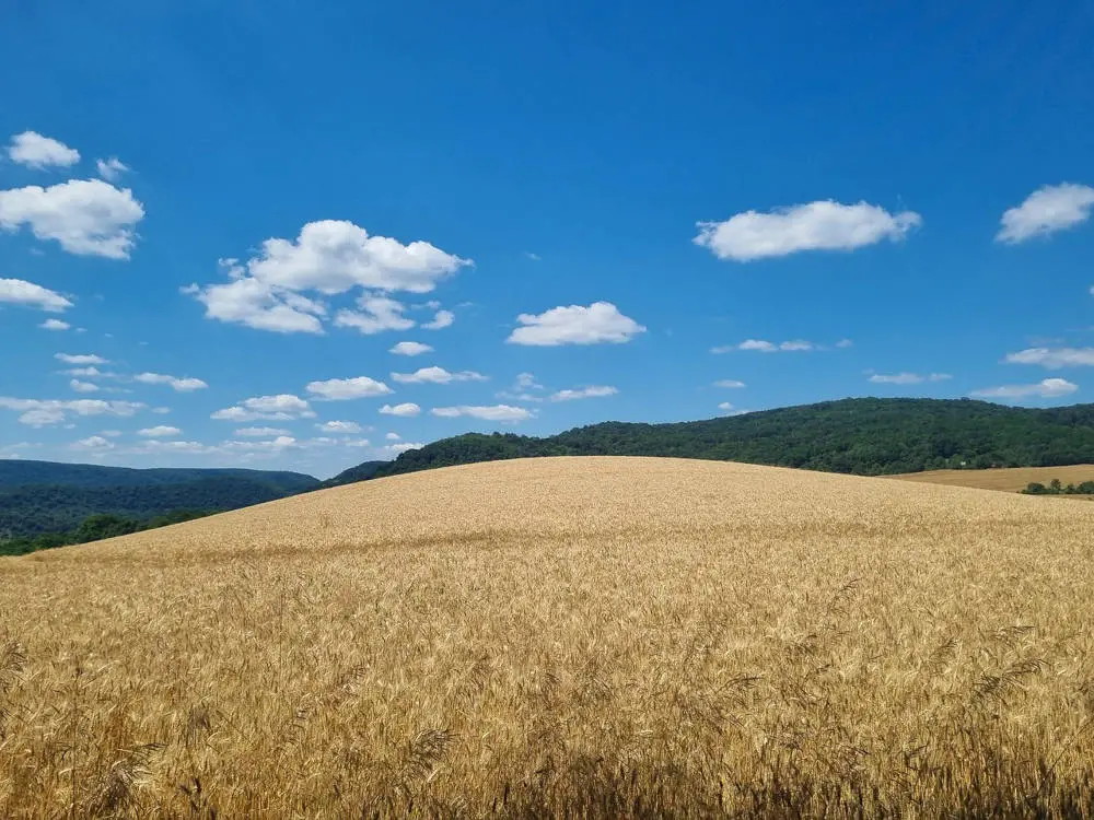 Himmel und Wolken über einem Feld - Online Seminar zu Licht und Sonne