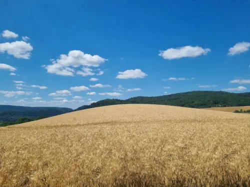 Himmel und Wolken über einem Feld - Online Seminar zu Licht und Sonne
