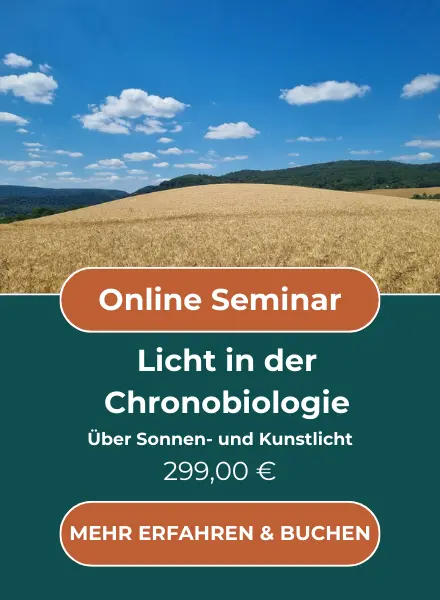 Online Seminar Licht