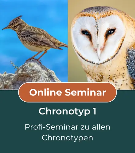Seminar Chronoptyp 1 - SleepMaster Academy