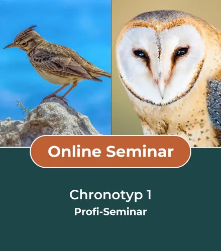 Online Seminar Chronotyp 1