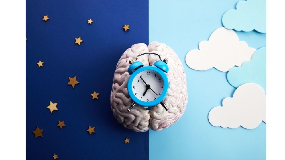 Sleepmaster Seminar Chronobiologie - Bild von innerer Uhr