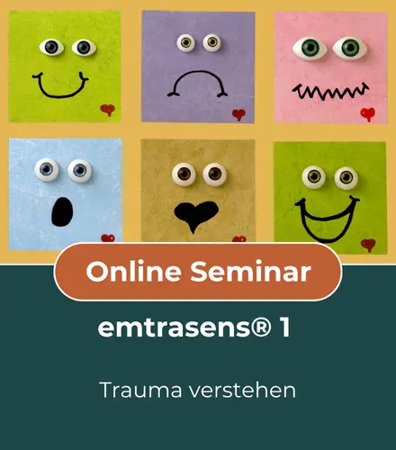 Seminar emtrasens 1 - Trauma verstehen SleepMaster Academy